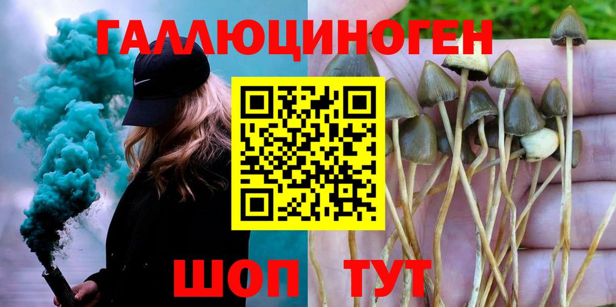 Псилоцибиновые грибы мицелий Карачаевск