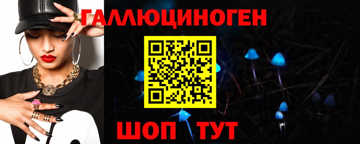 Галлюциногенные грибы прущие грибы  Карачаевск  Псилоцибиновые грибы MAGIC MUSHROOMS 
